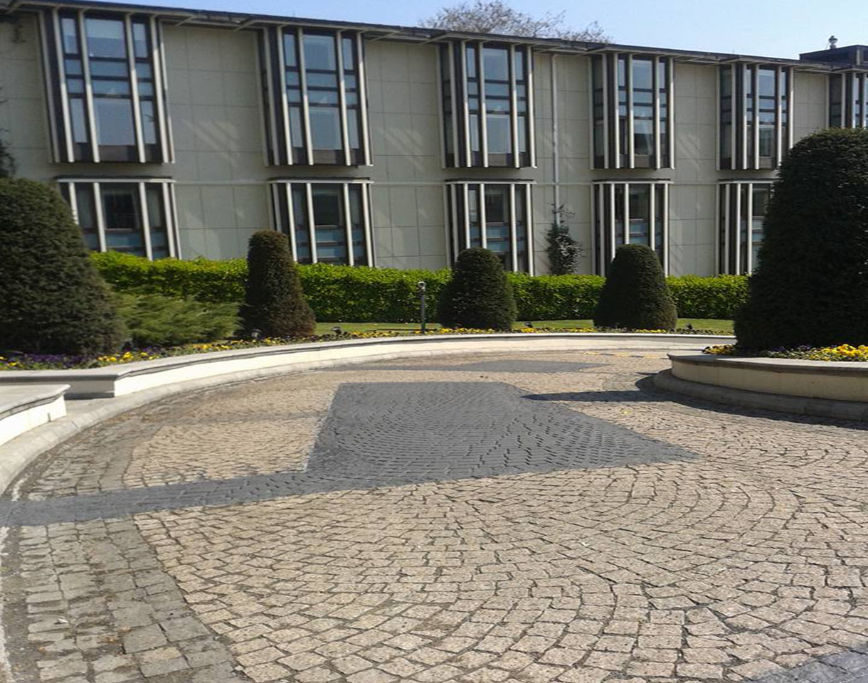 Desenli-Renkli Asfalt Kaplama 033